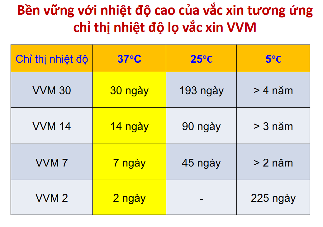 Các loại VVM