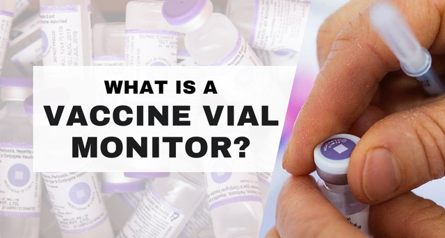 What is a vaccine vial monitor (vvm)