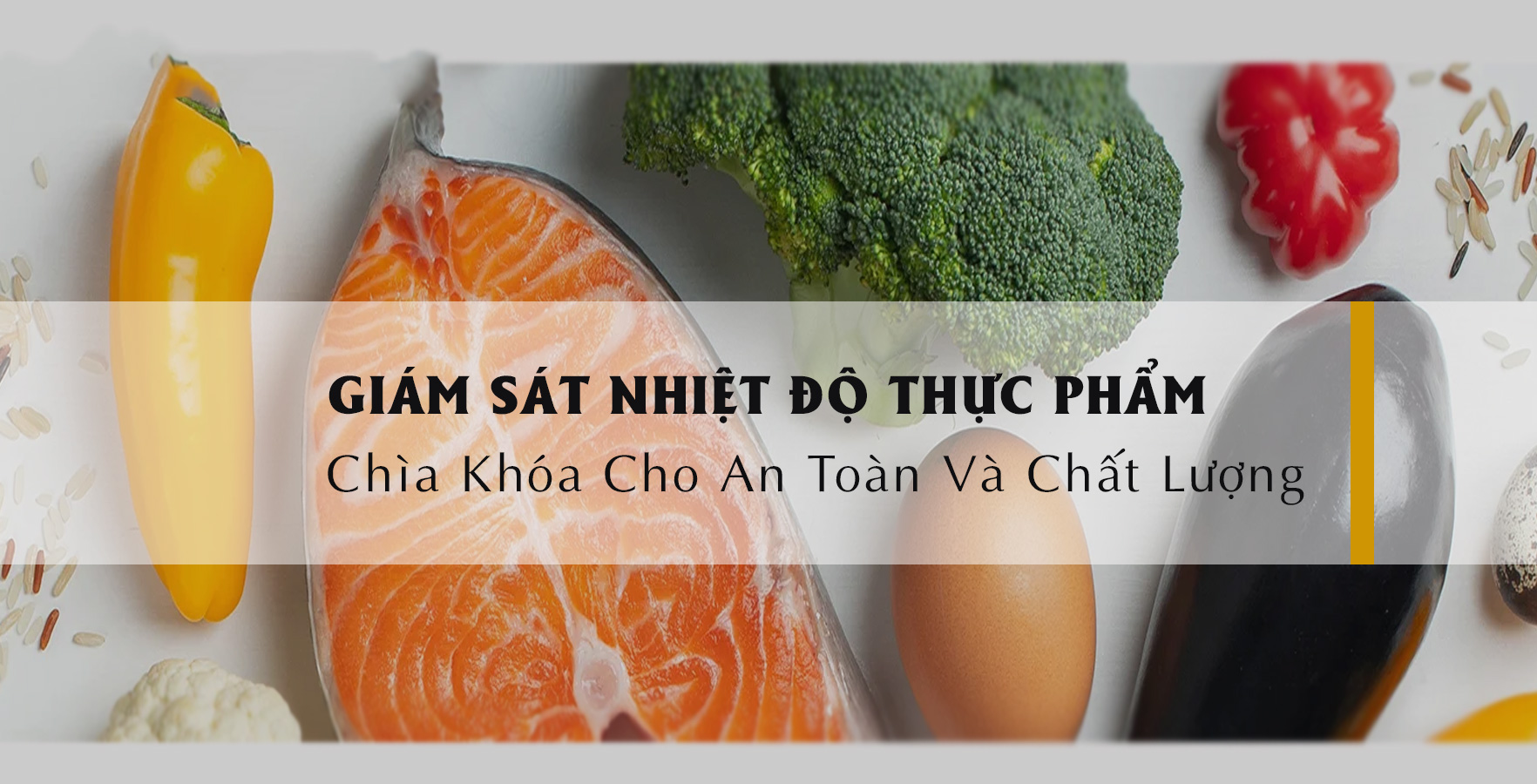 Giám Sát Nhiệt Độ Thực Phẩm