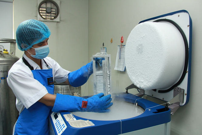 Lưu trữ tế bào gốc
