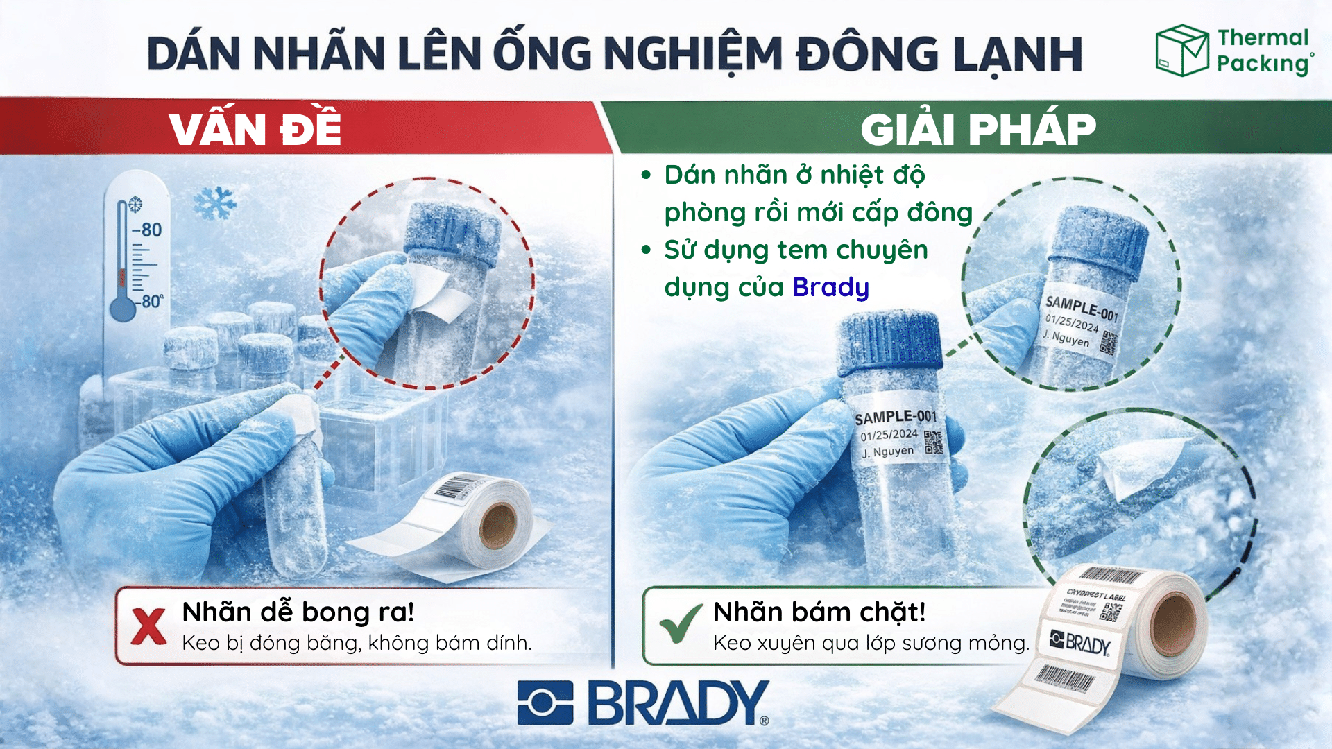 So sánh tem nhãn thông thường và tem cho ống nghiệm Brady